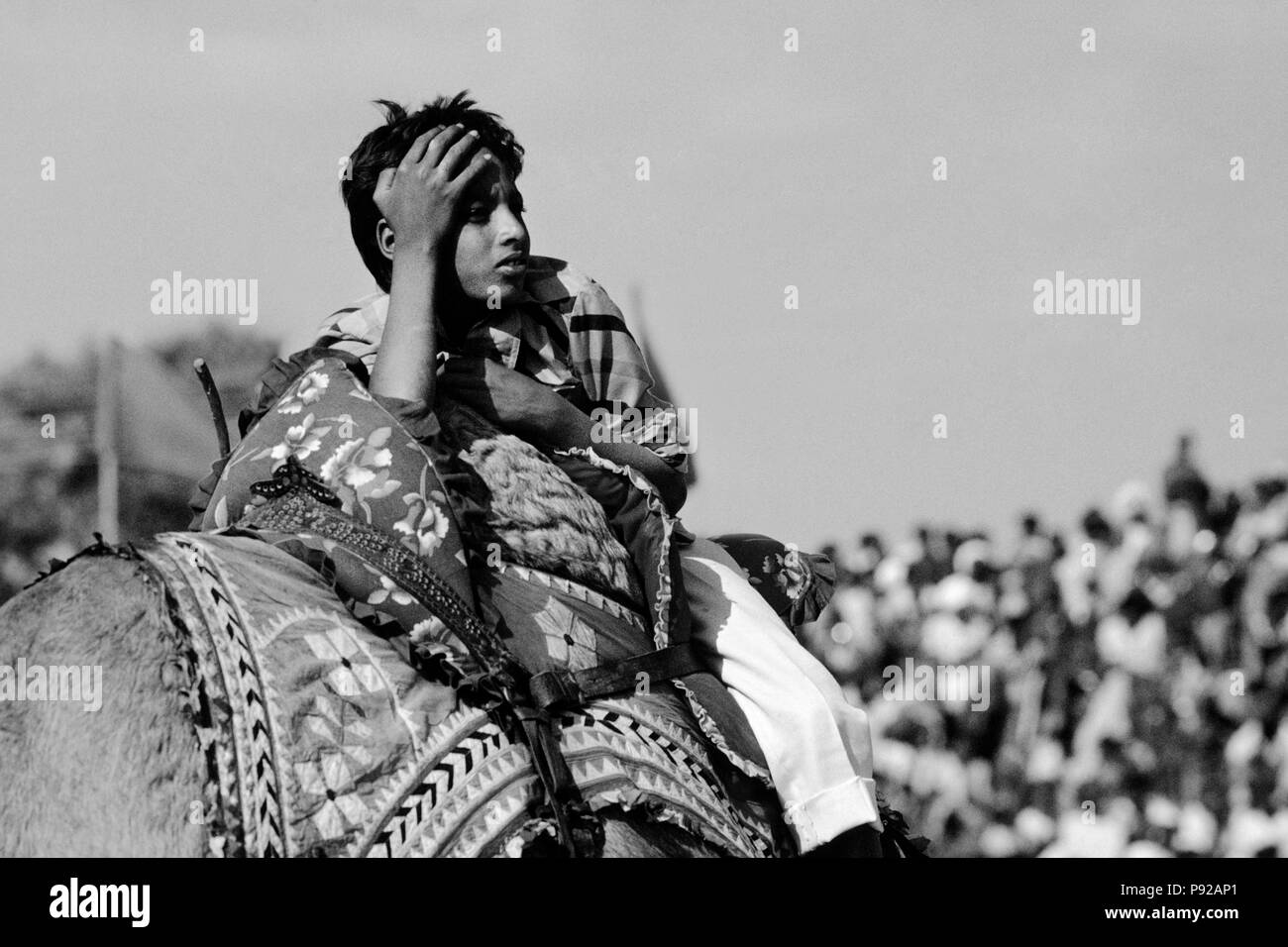 Un ragazzo di Rajasthani Cavalca un cammello di fronte ad una folla in PUSHKAR CAMEL FAIR - Rajasthan, India Foto Stock