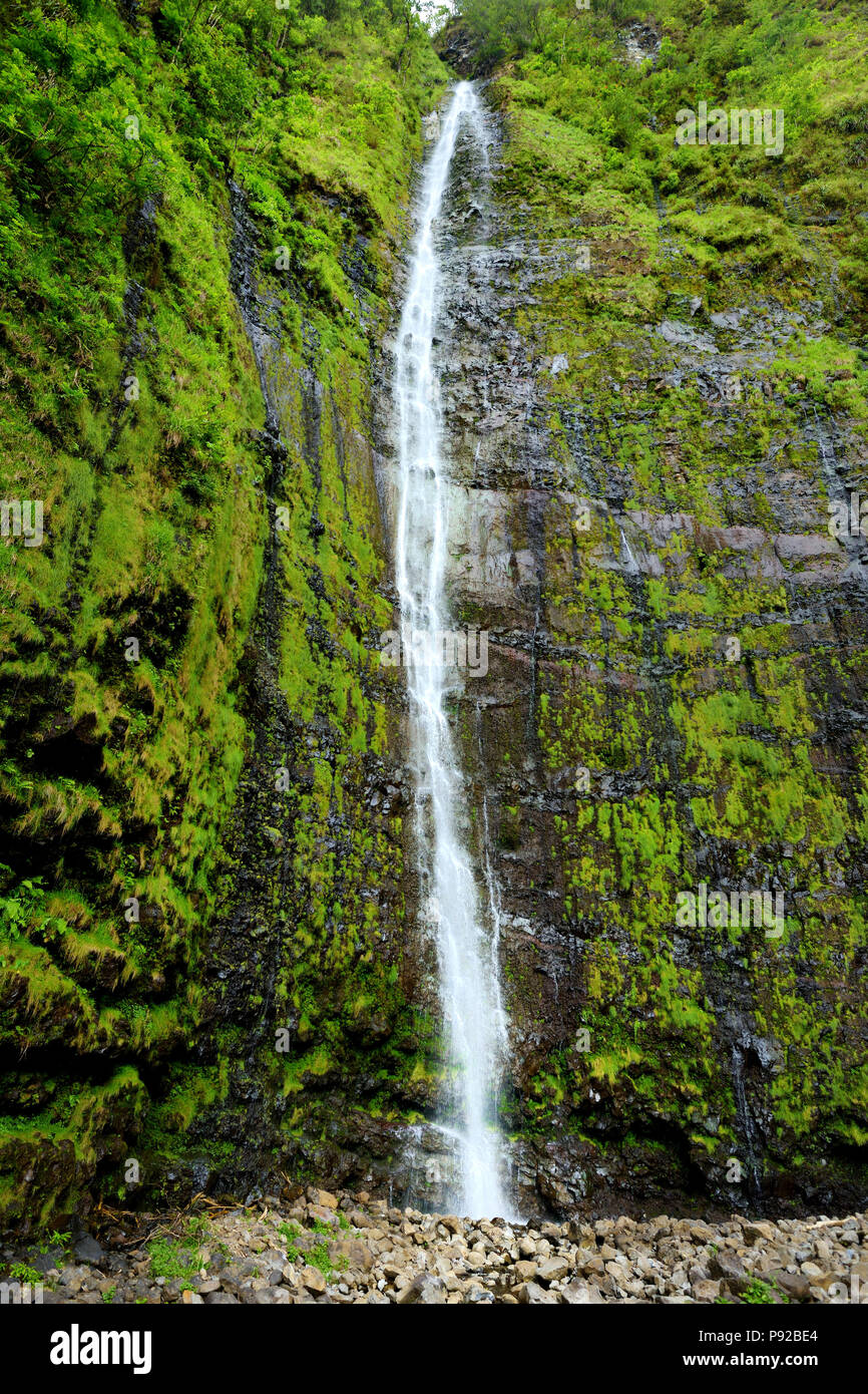 Famoso Waimoku Falls cascate in testa al Pipiwai Trail, al di sopra di sette piscine sacro sulla strada di Hana. Maui, Hawaii, Stati Uniti d'America. Foto Stock