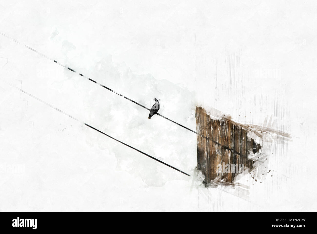 Abstract bird sul cavo la pittura ad acquerello sfondo Foto Stock