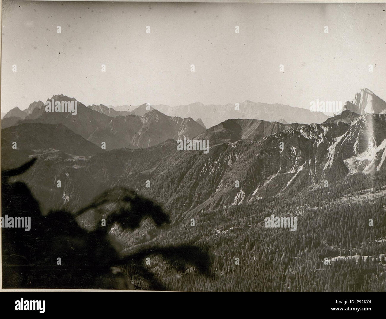 . 447 Panorama vom Art.Beobachter am Maldatschen gegen Salinchiet, Pizzul, Eiserner Ritter, Mt.Zermular, (rechte Seite vom Stand.) (BildID 15803345) Foto Stock