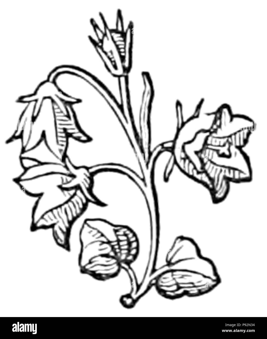 455 pittoresco Nuova Guinea - Capitolo 14 fine fleuron Foto Stock