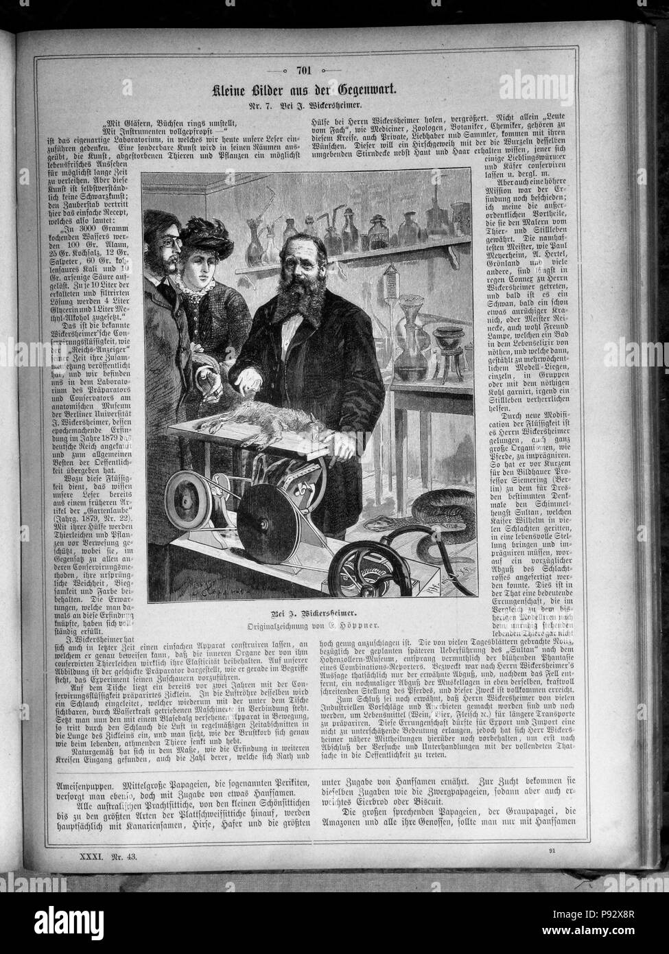 . 213 Die Gartenlaube (1883) 701 Foto Stock