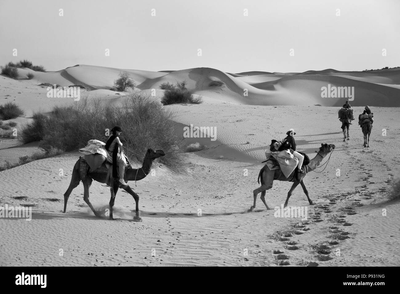 I viaggiatori corsa cammelli attraverso le dune di sabbia del deserto di Thar vicino a Jaisalmer - Rajasthan, India - MR Foto Stock