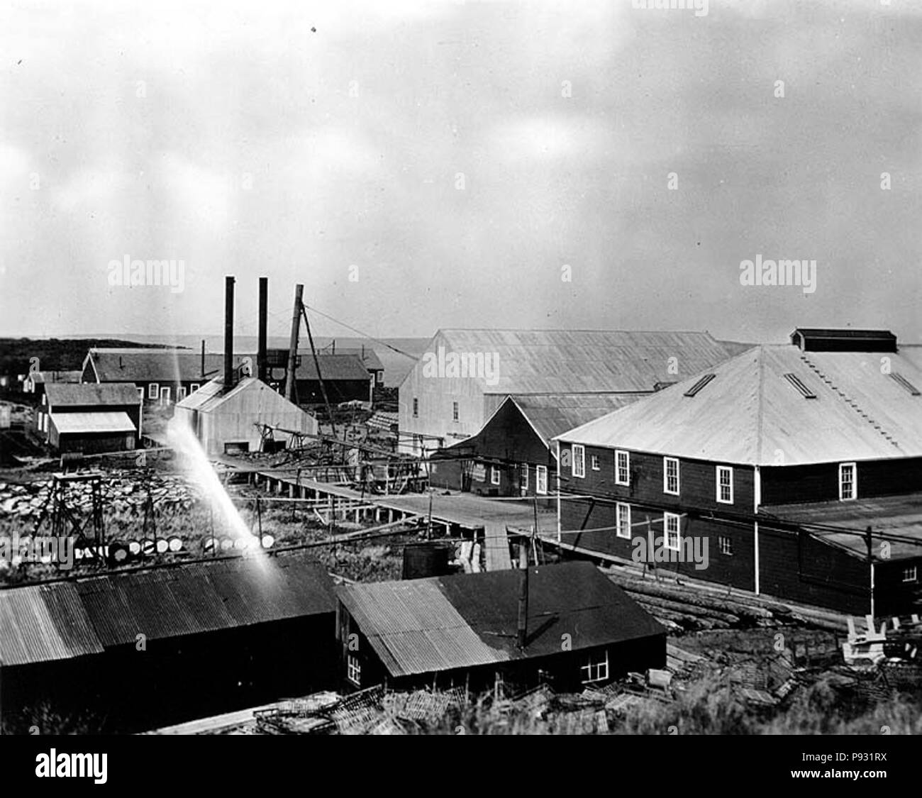 . 31 Alaska Packers Association cannery in Egegik, Alaska, 1917 (Cobb 289) Foto Stock