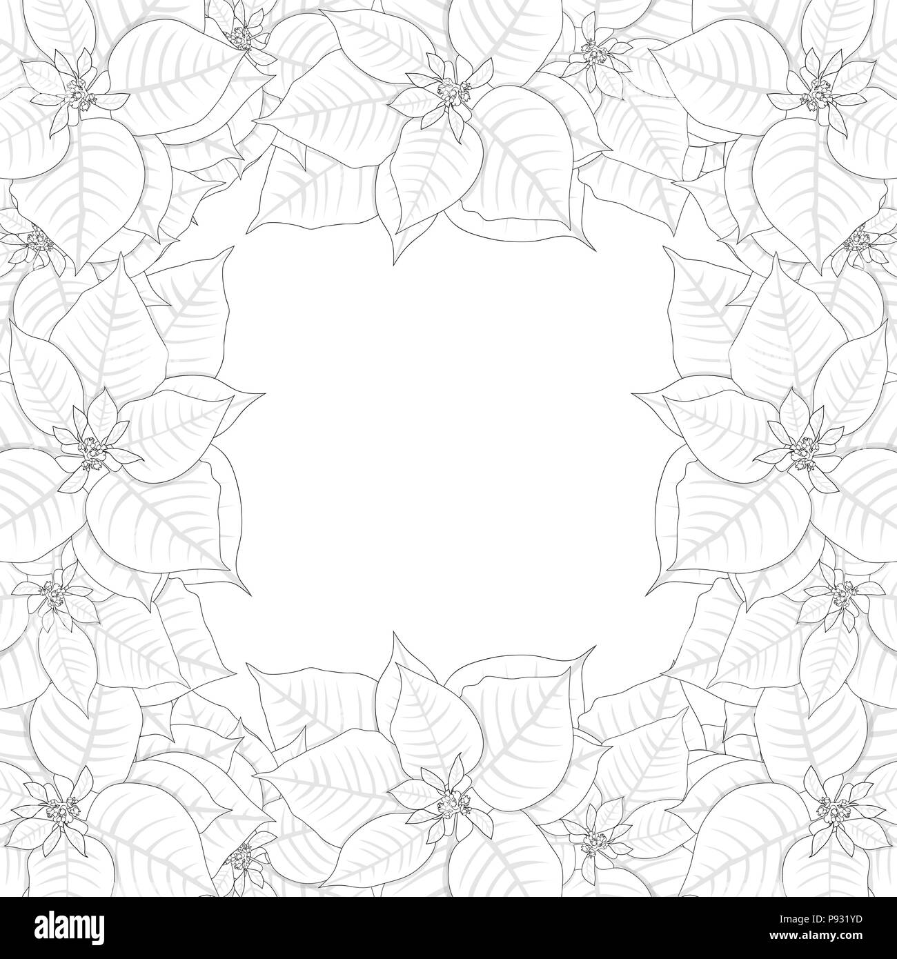 Poinsettia bordo presente isolato su sfondo bianco. Illustrazione Vettoriale. Illustrazione Vettoriale