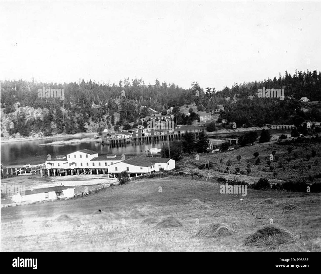 . 489 salmoni conservifici del George W Hume Co e Porto Cervo la pesca Co, Porto Cervo, Washington, 1919 (Cobb 188) Foto Stock