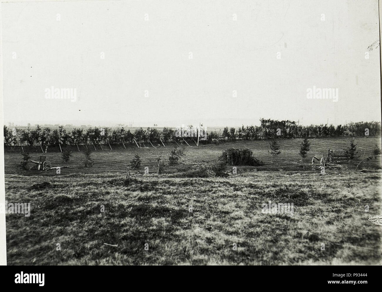 515 Scheinbatterie und maskierte Straße zwischen Rosulna und Kosmacz, 30.Aprile 1917. (BildID 15590492) Foto Stock