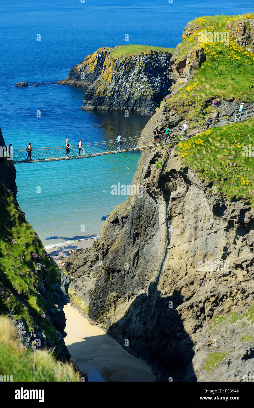 Carrick-a-Rede ponte di corde, il famoso ponte di corde vicino a Ballintoy nella contea di Antrim, che collega la terraferma con la piccola isola di Carrickarede. Uno dei mo Foto Stock