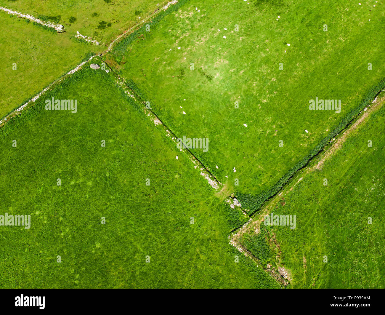 Vista aerea di infinite rigogliosi pascoli e terreni agricoli dell'Irlanda. Bella campagna irlandese con verde smeraldo di campi e prati. Paesaggio rurale. Foto Stock