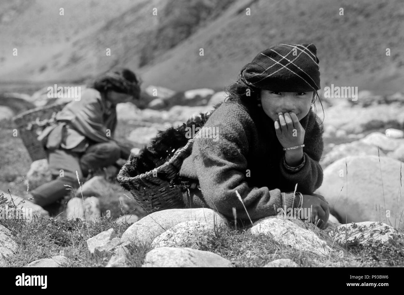 Giovani donne tibetane raccogliere sterco di yak che essi utilizzano per il carburante sul Plateau tibetano vicino a NYALAM, TIBET Foto Stock