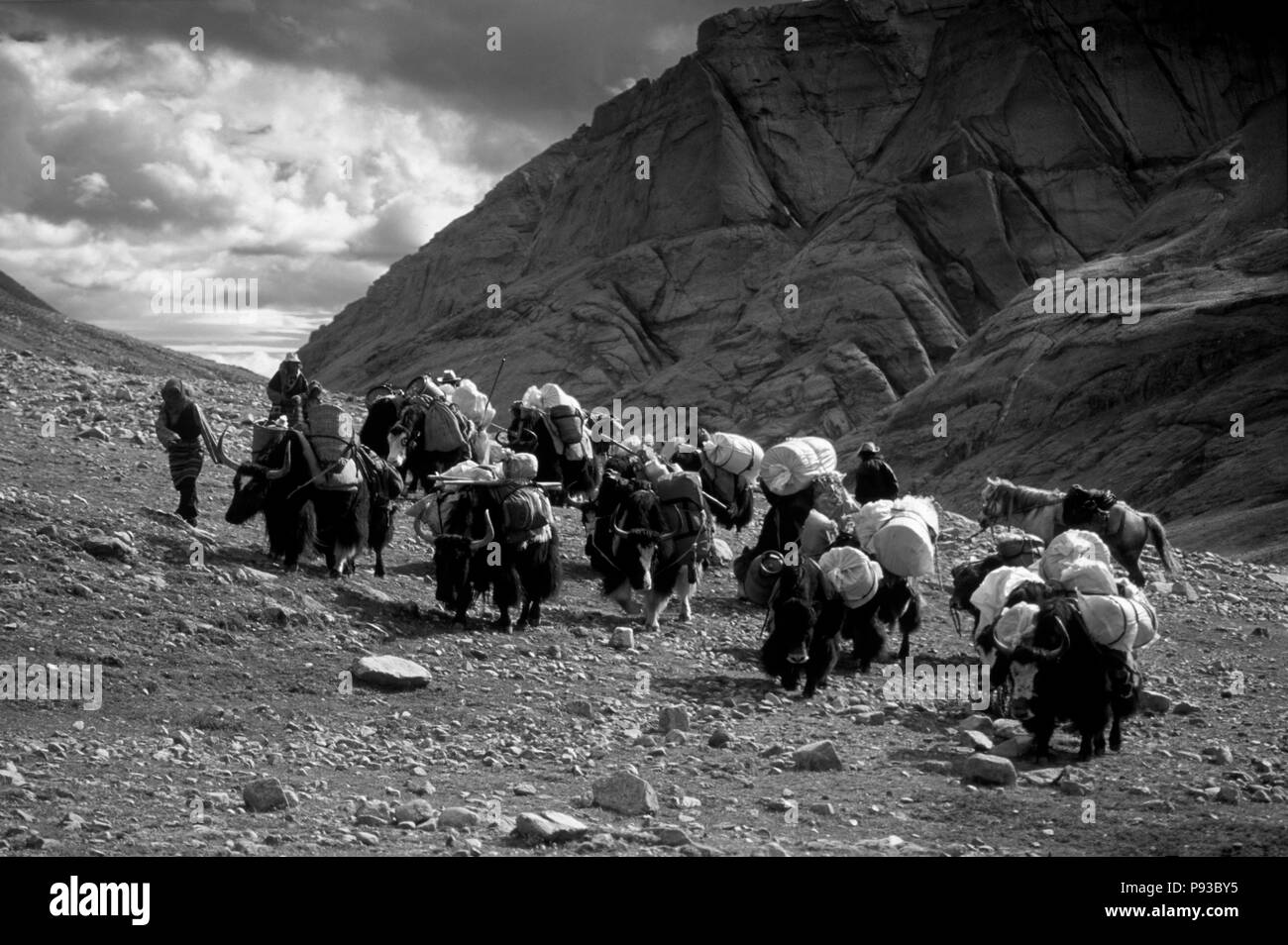 Yak e pellegrini fare KORA intorno al monte Kailash (6638 metri) il più sacro picco himalayano - TIBET Foto Stock