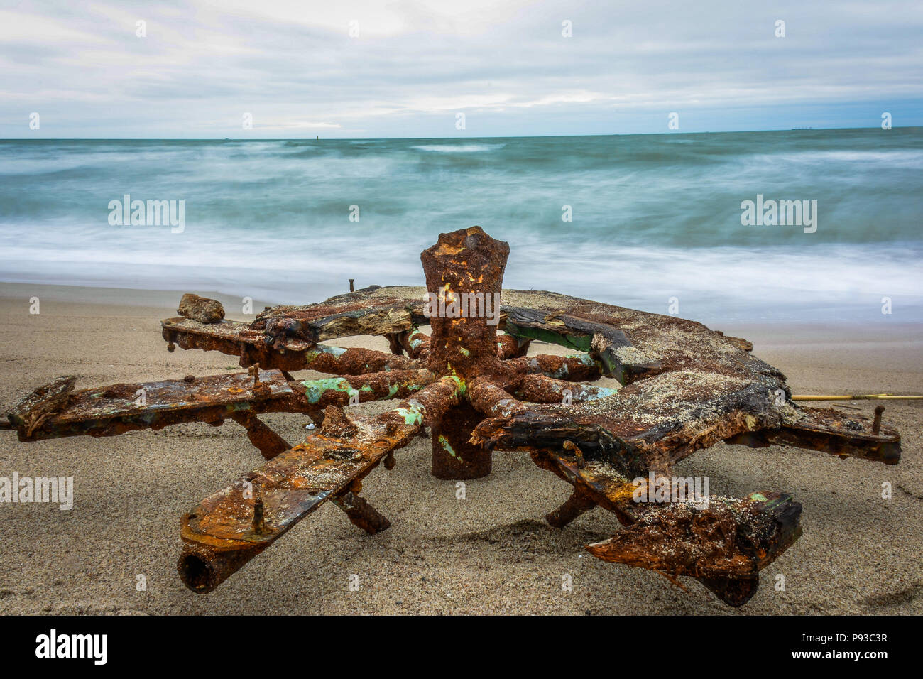 Strane voce (ruota) nella spiaggia di Lituania Foto Stock
