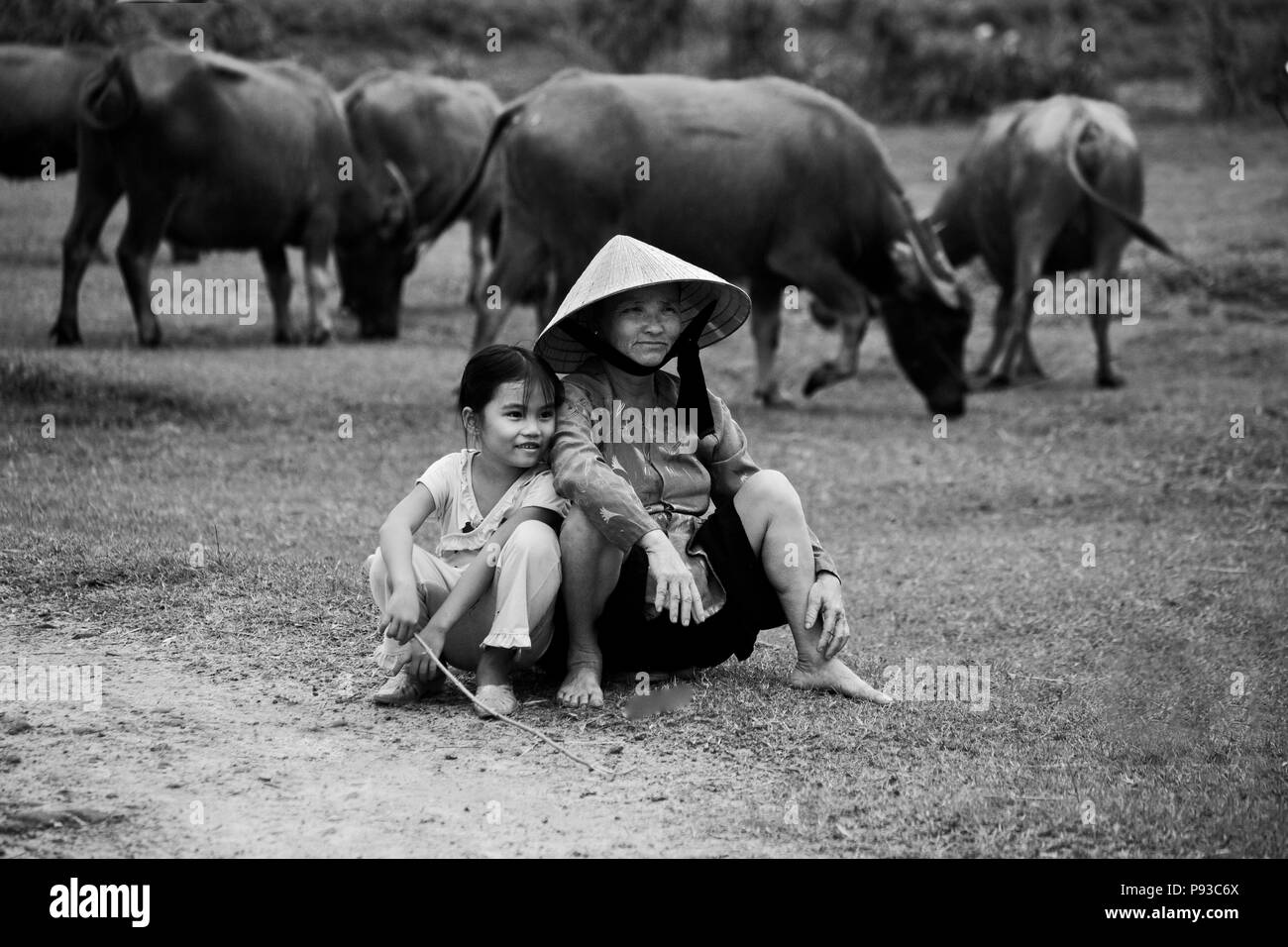 Gli abitanti di un villaggio vietnamita prendere un momento di posa fra acqua BUFFALO - VIETNAM CENTRALE Foto Stock