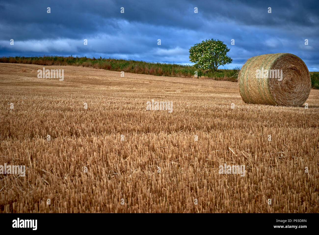 Le Highlands scozzesi (SC18) Foto Stock