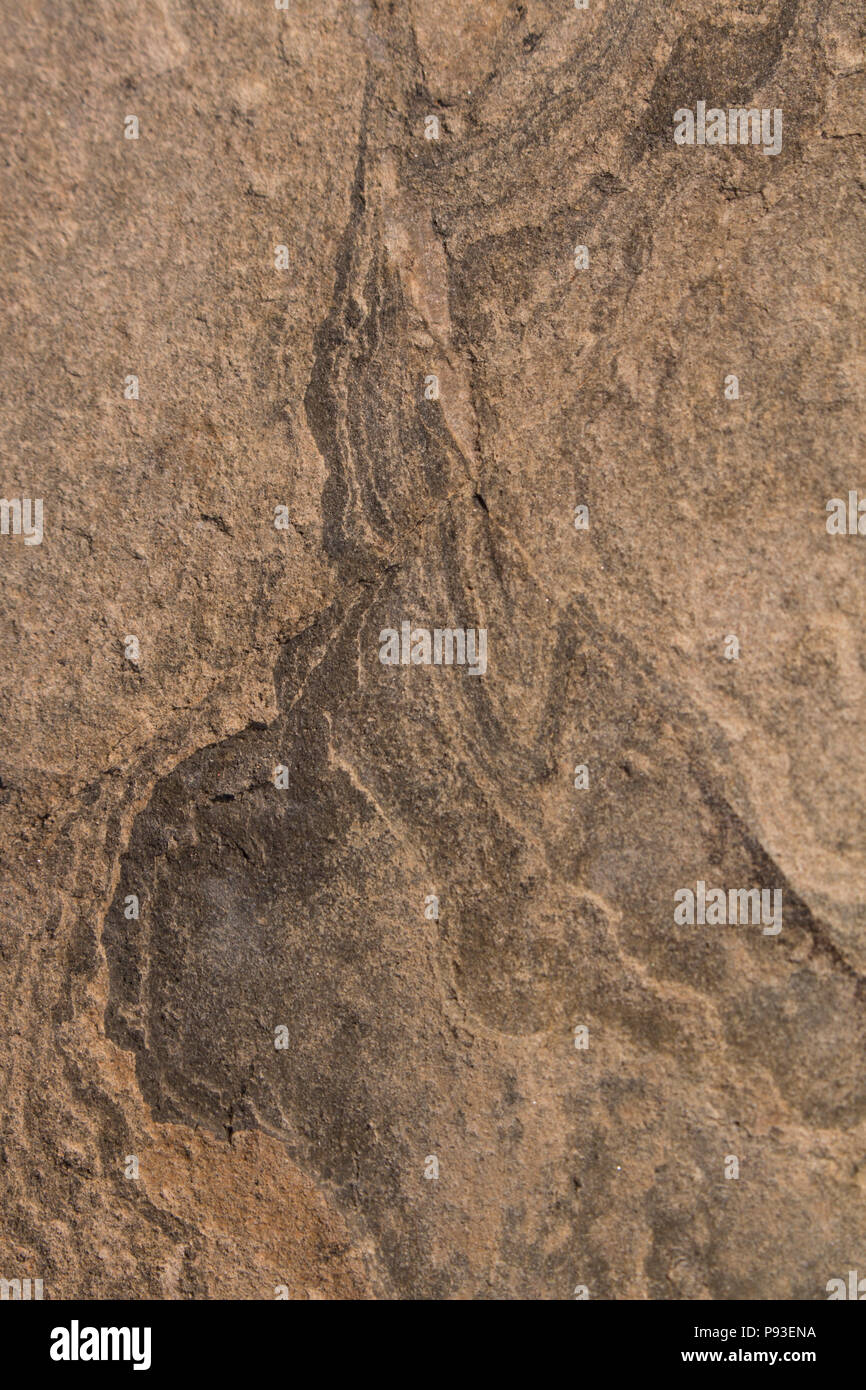Tessitura della pietra. la superficie del marmo con sfumatura marrone Foto Stock