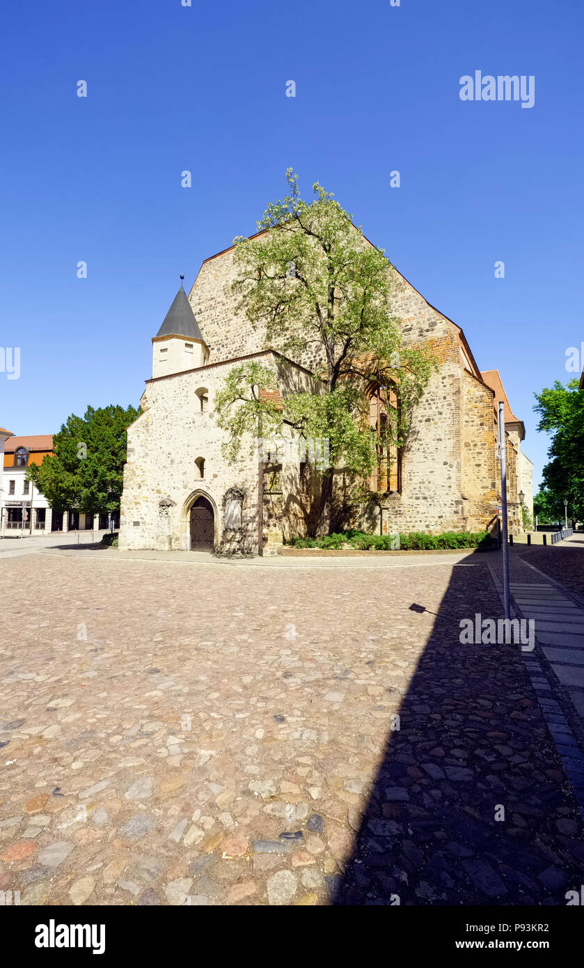 San-Bartholomäi Chiesa, Zerbst/Anhalt, Sassonia-Anhalt, Germania Foto Stock