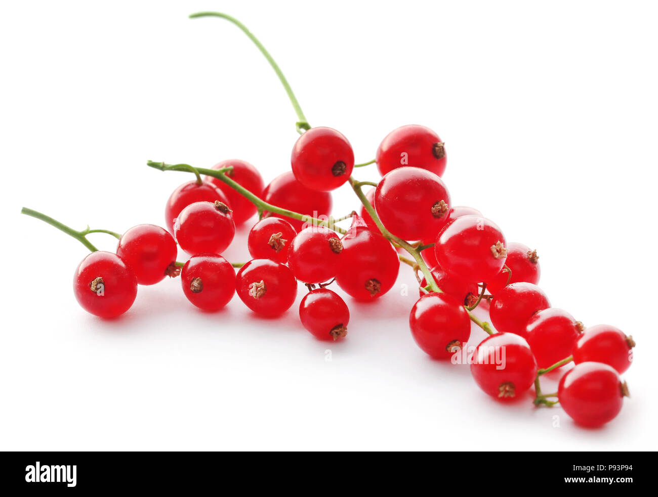 Freschi ribes rosso su sfondo bianco Foto Stock