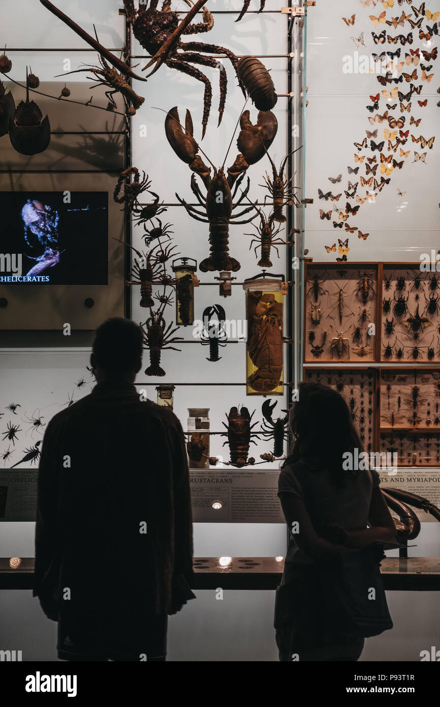 Isitors guardando le mostre nel Museo Americano di Storia Naturale di New York, uno dei più grandi musei del mondo. Foto Stock