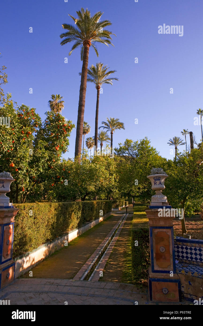 Vista del Jardín del Marqués de La Vega-Inclán, con un ruscello che corre fino al centro di un percorso, Real Alcázar giardini, Sevilla, Andalusia, Spagna Foto Stock