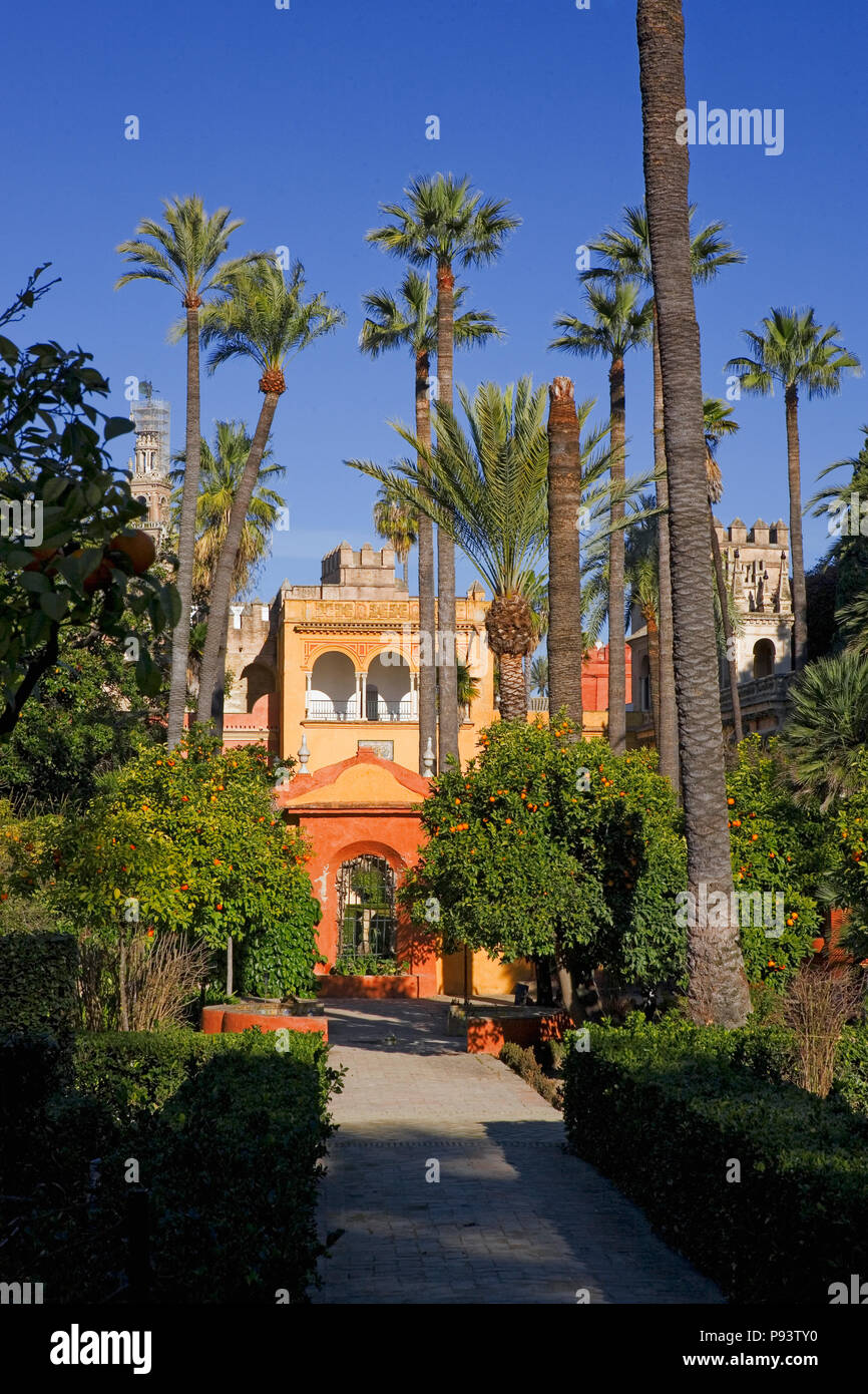 Jardín de Las Damas, Real Alcázar giardini, Sevilla, Andalusia, Spagna Foto Stock