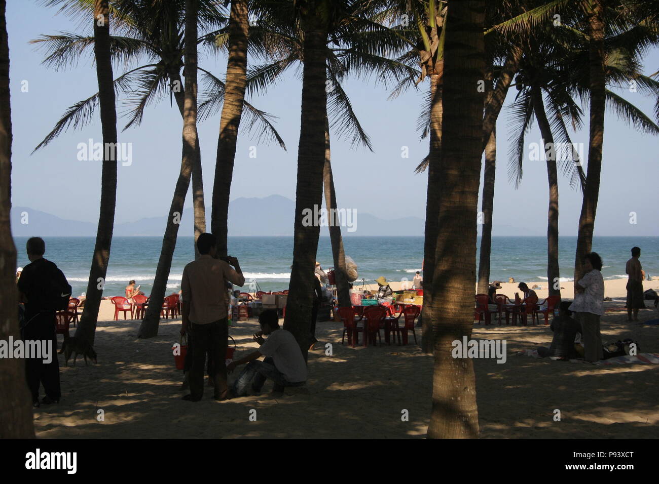 Palme su Hoi An Beach, Vietnam Foto Stock
