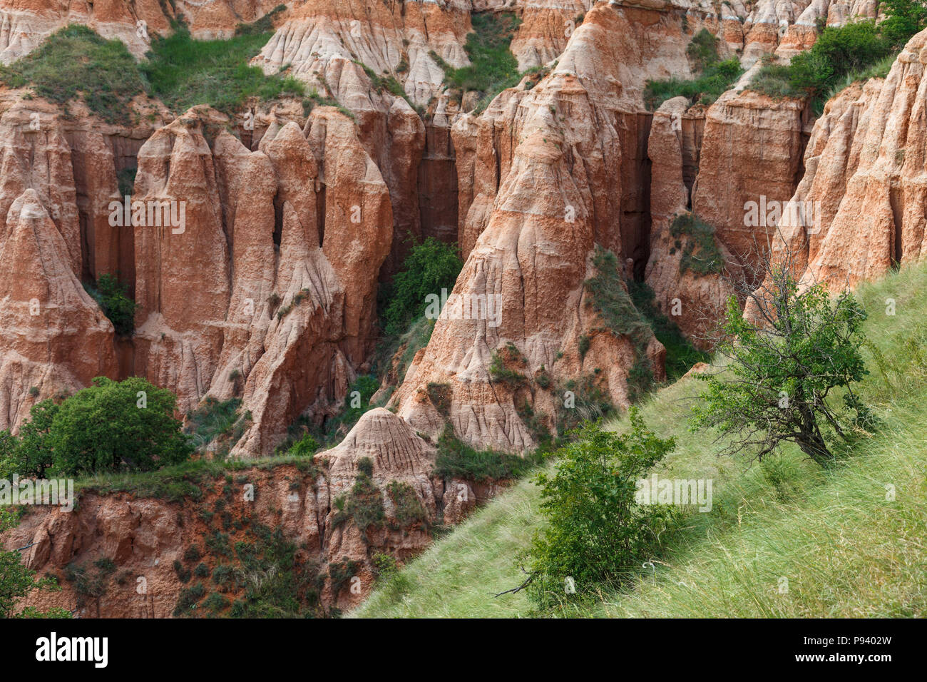 Burrone rosso area protetta e un monumento naturale, geologici e botanici di riserva in Romania Foto Stock