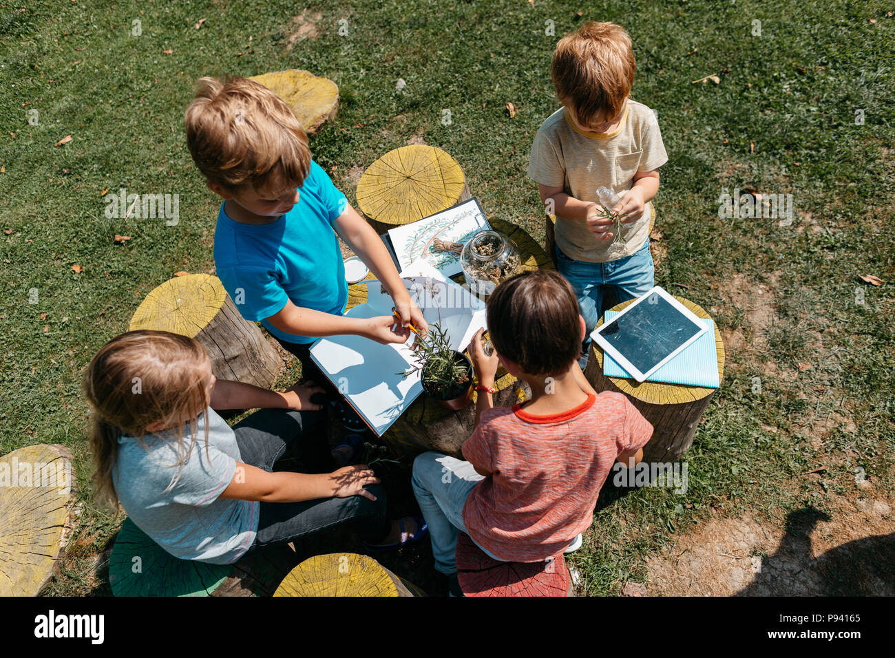 Un gruppo di compagni di scuola imparare insieme a una scienza naturale lezione al di fuori in un giardino. Vista dall'alto di bambini che hanno collaborato su un progetto scolastico. Foto Stock