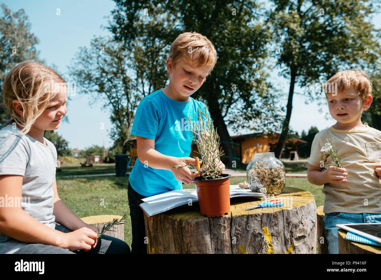 Homeschooling - i bambini che lavorano su un progetto ambientale al di fuori in un parco. Giovani studenti imparare a conoscere le piante e le erbe aromatiche insieme. Foto Stock