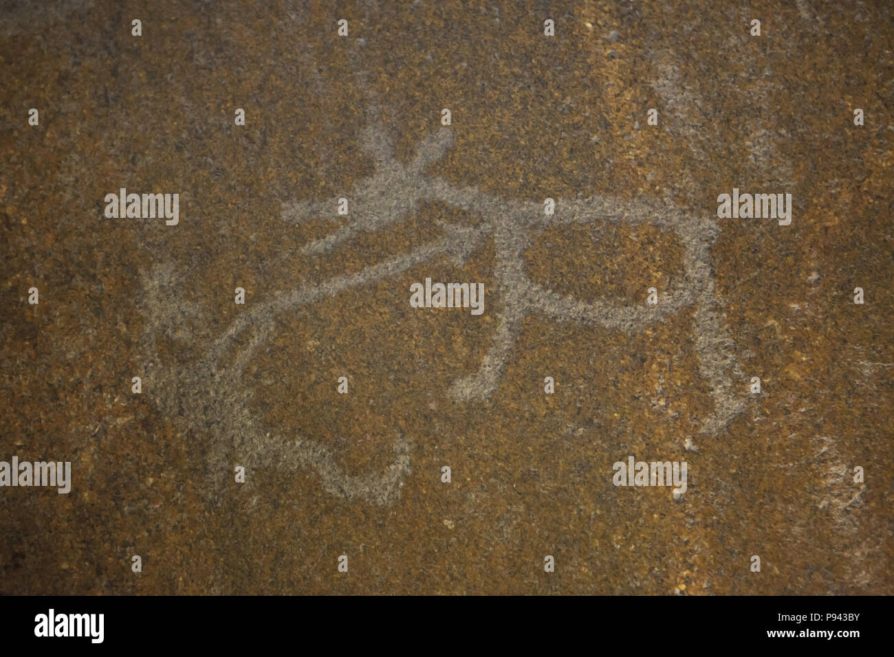Recare la caccia raffigurata nella primordiale a petroglyph Besov Nos Cape (Demon's naso) sul Lago Onega, ora esposti nel Museo Hermitage di San Pietroburgo, Russia. Foto Stock