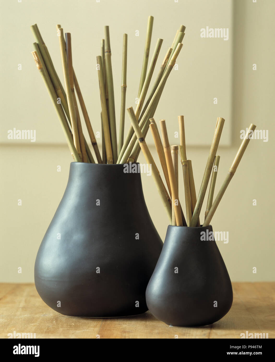 Due corrispondenti vasi con canne di bambù Foto stock - Alamy