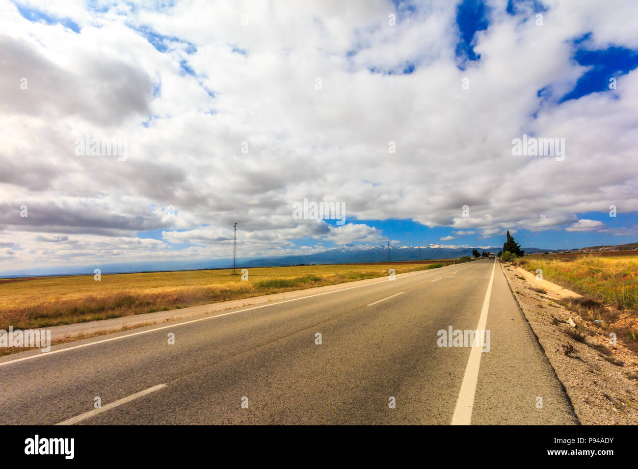 Paesaggio di strada attraverso campi dorati con le nuvole, provincia di Granada, Spagna Foto Stock