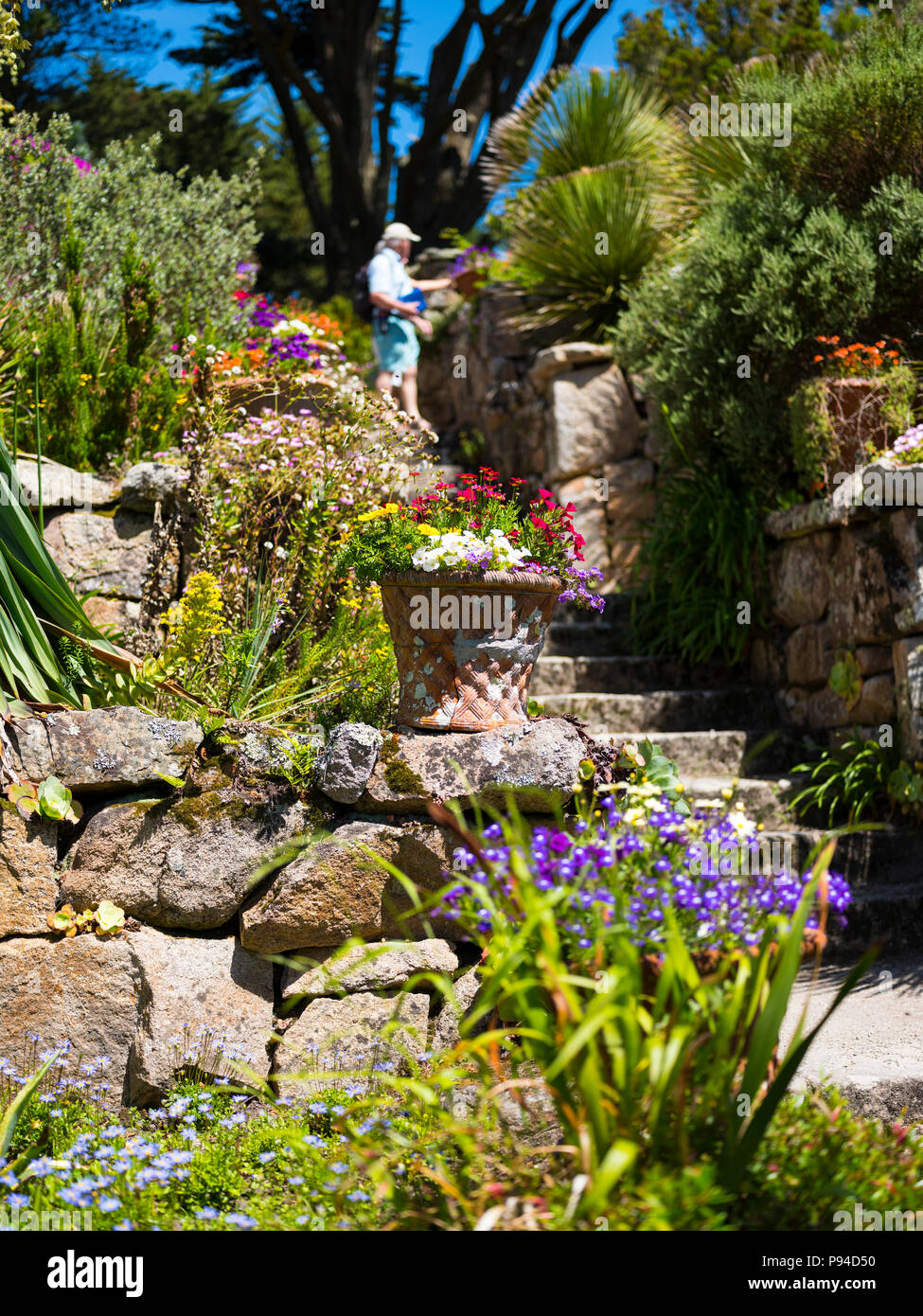 Tresco Abbey Gardens, Isole Scilly. Foto Stock