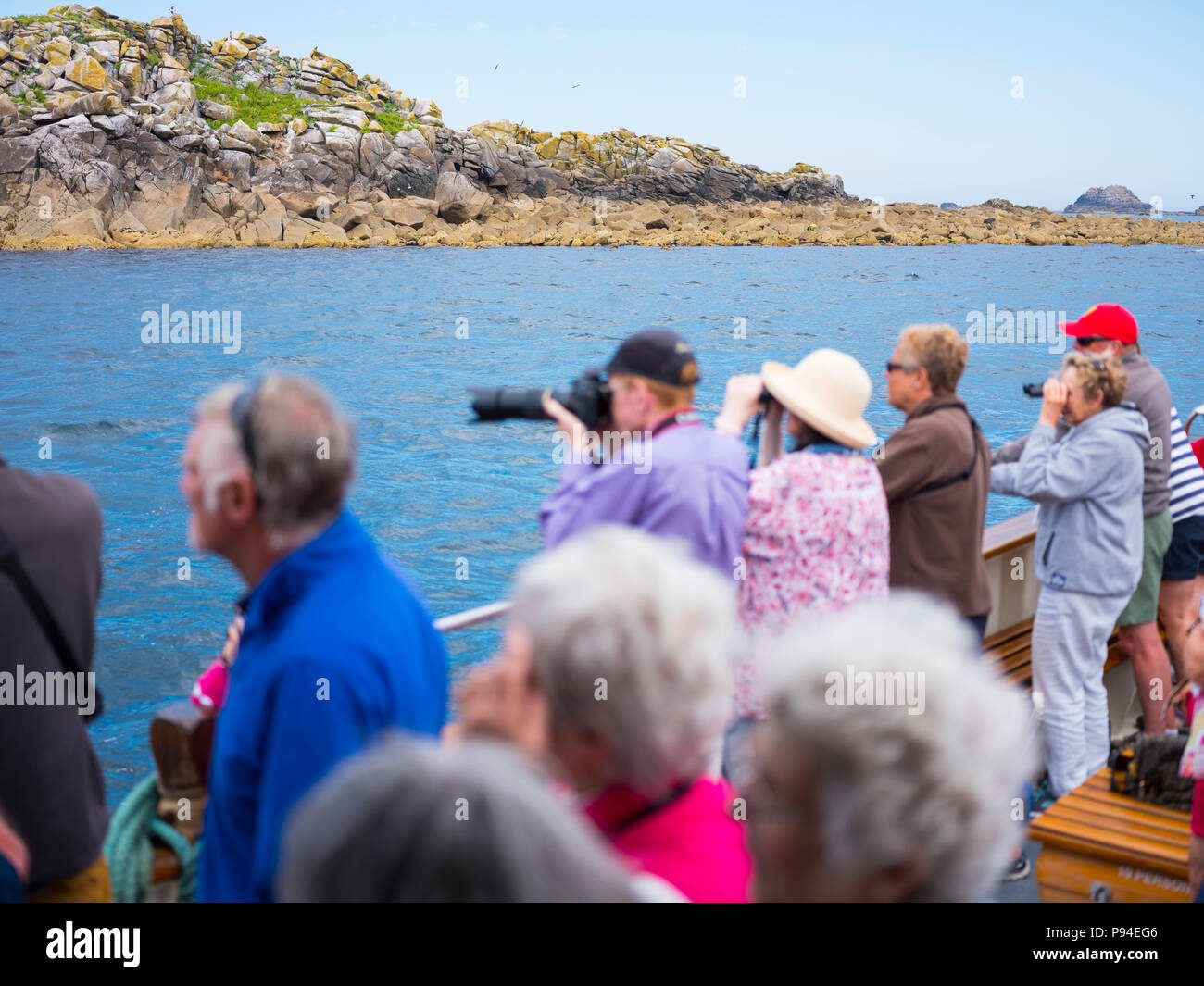 Persone su un mare safari, Isole Scilly. Foto Stock