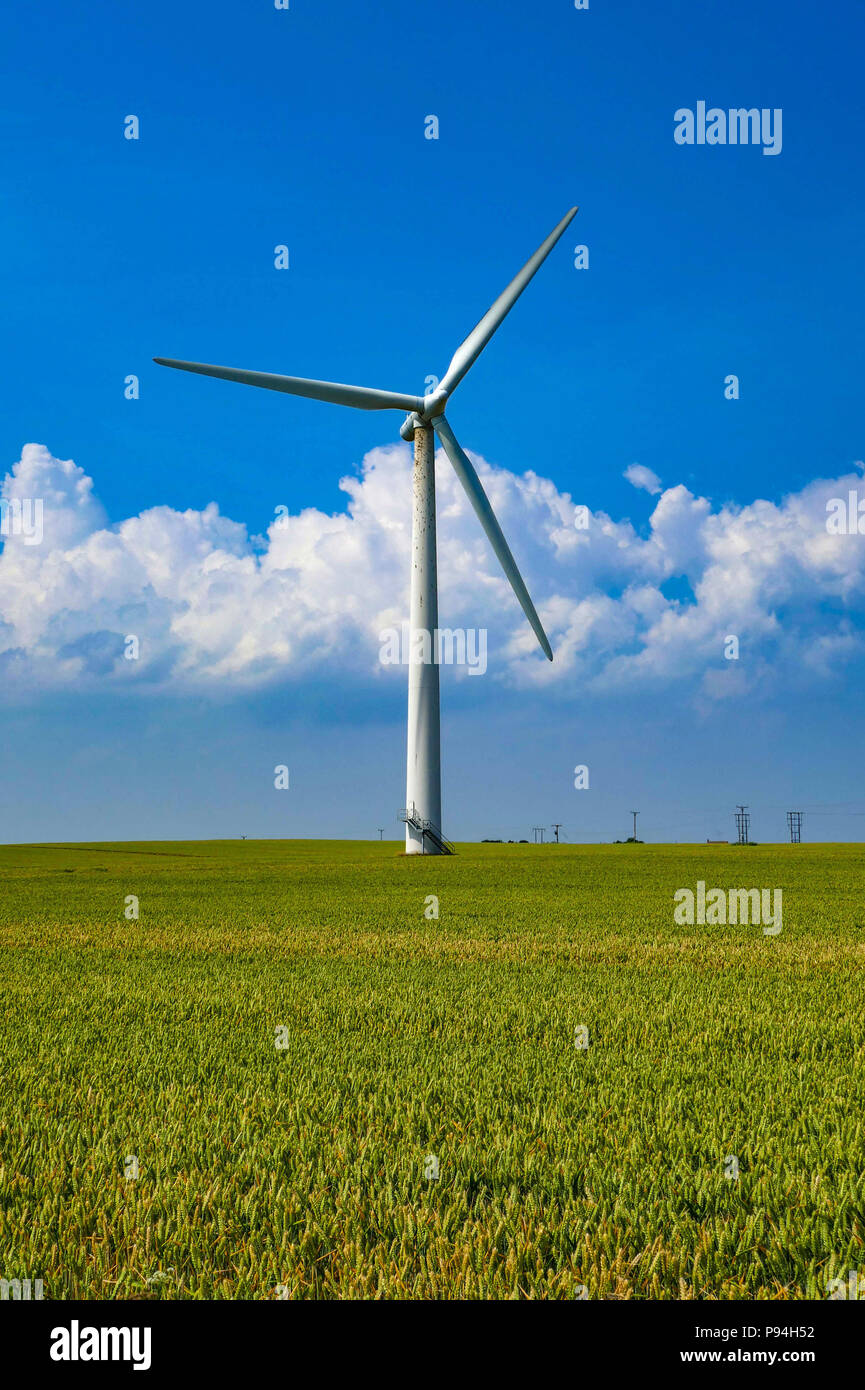 Le turbine eoliche e seminativi in campi, Holderness, vicino a Hull, East Yorkshire Foto Stock