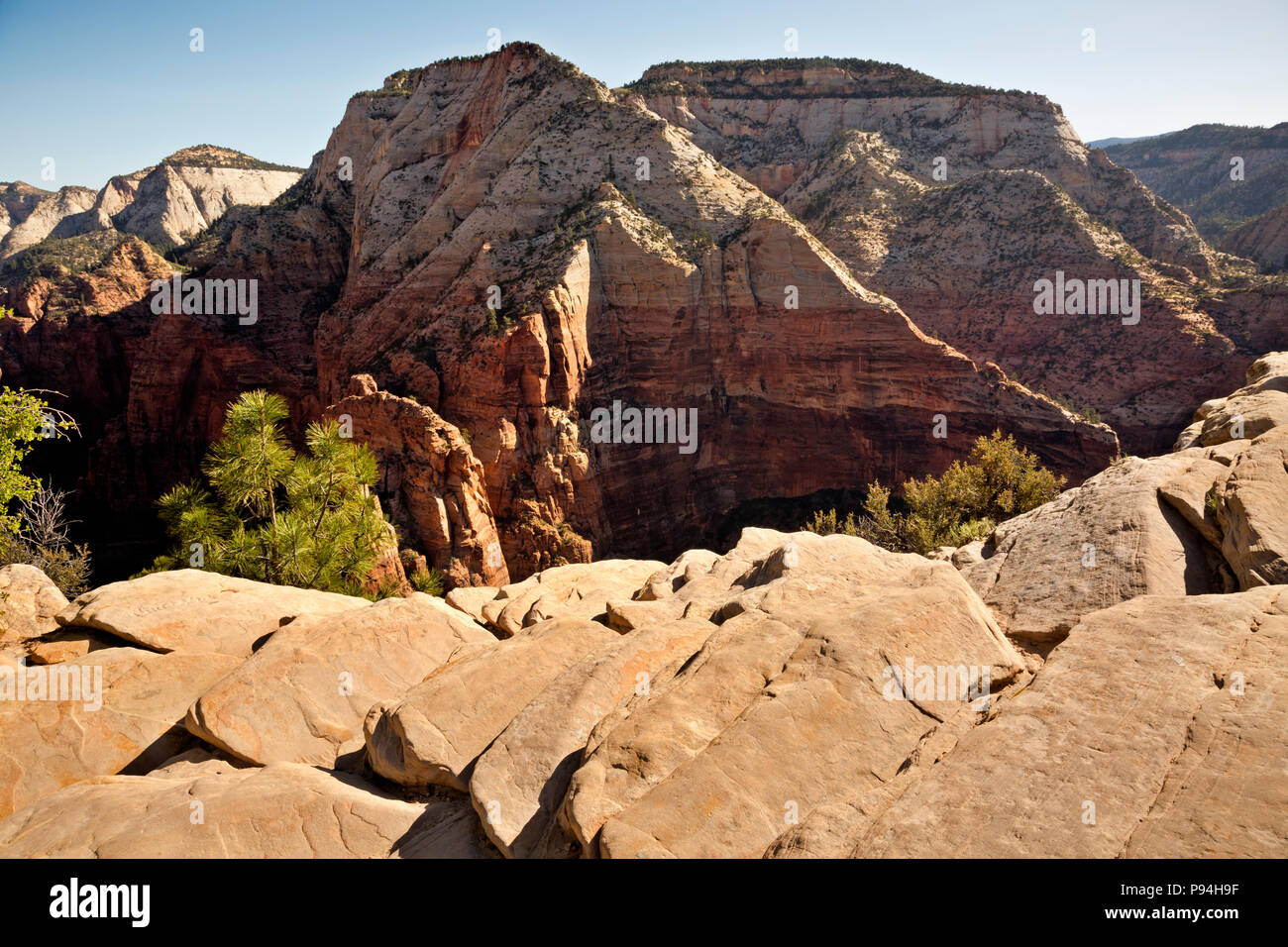 UTAH - mattina presto vista del punto di osservazione da angeli lo sbarco nel Parco Nazionale di Zion. Foto Stock