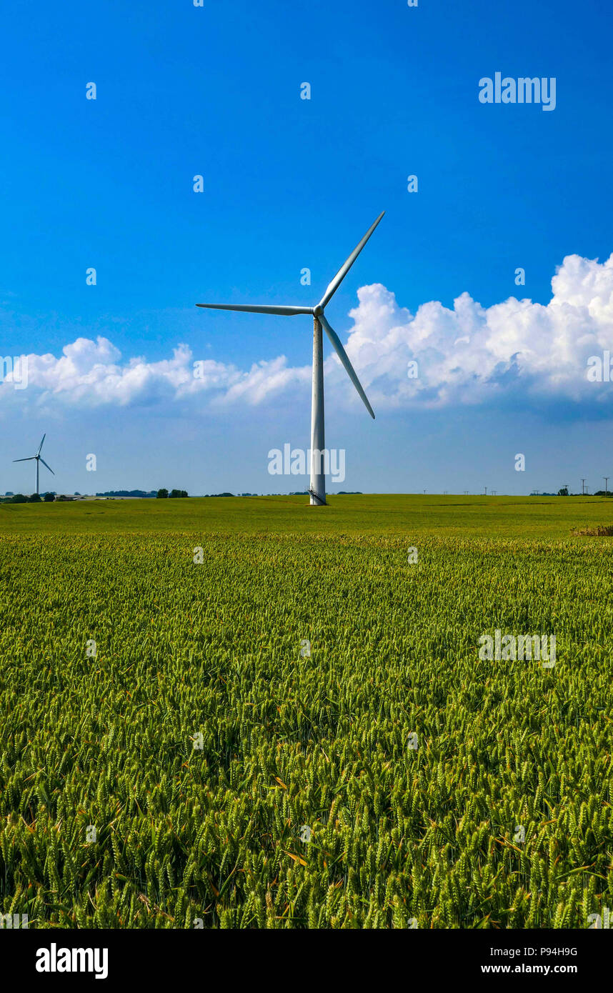 Le turbine eoliche e seminativi in campi, Holderness, vicino a Hull, East Yorkshire Foto Stock