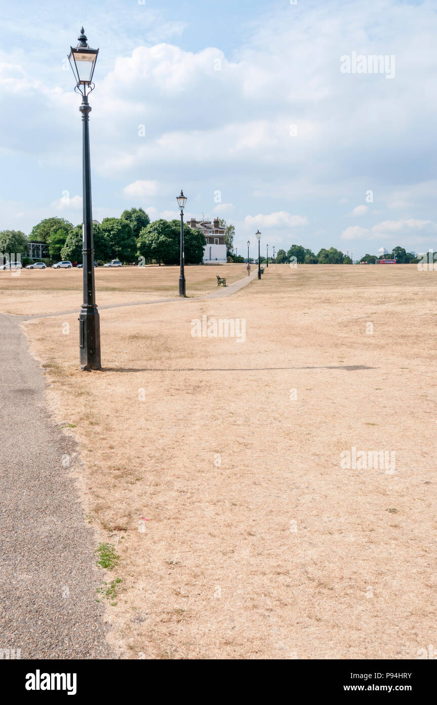 Secco, erba marrone sulla brughiera a Blackheath durante la calda estate del 2018 Foto Stock