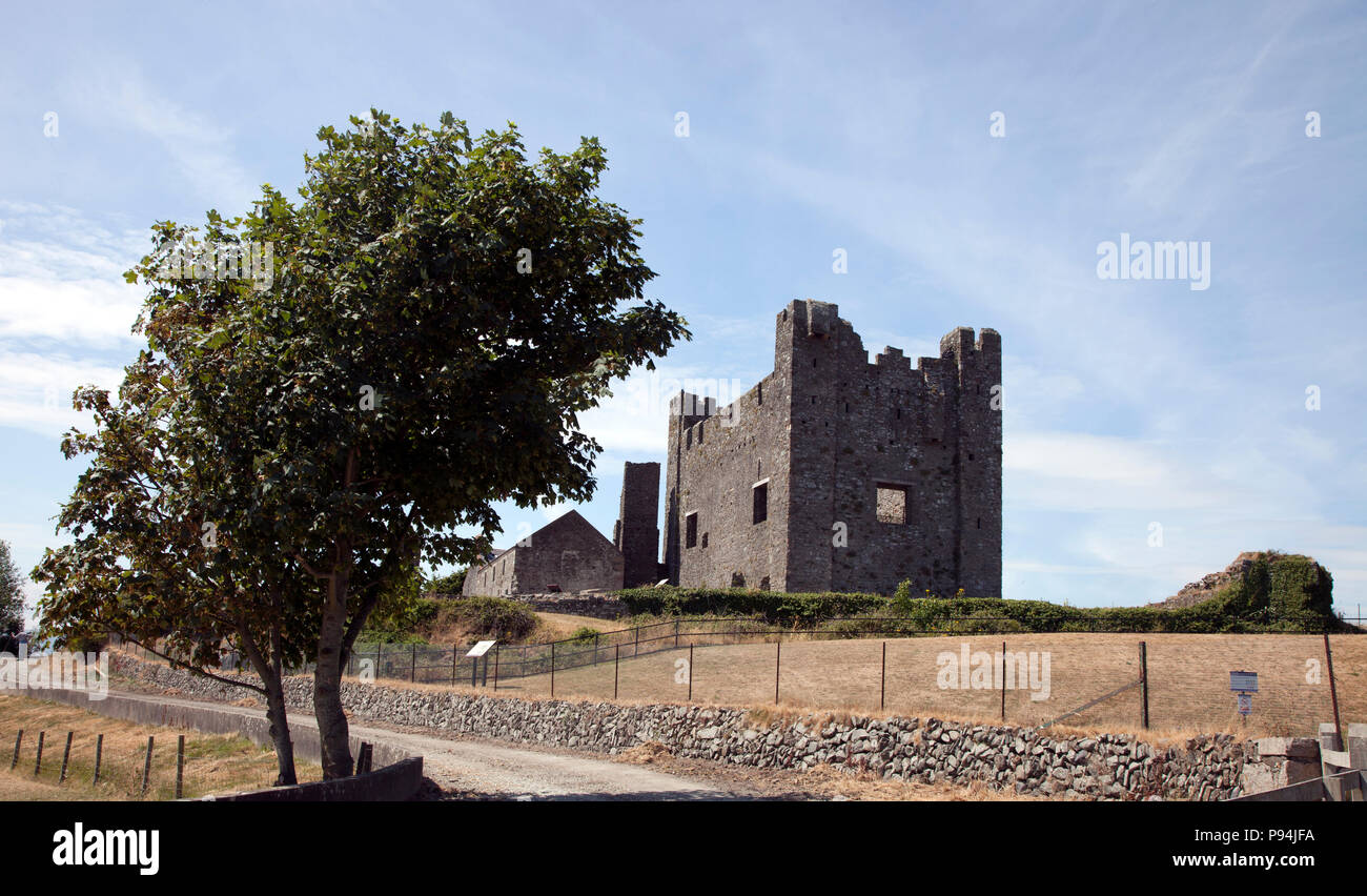 Il castello di verde, castello in rovina in Greencastle, County Down, Irlanda del Nord Foto Stock