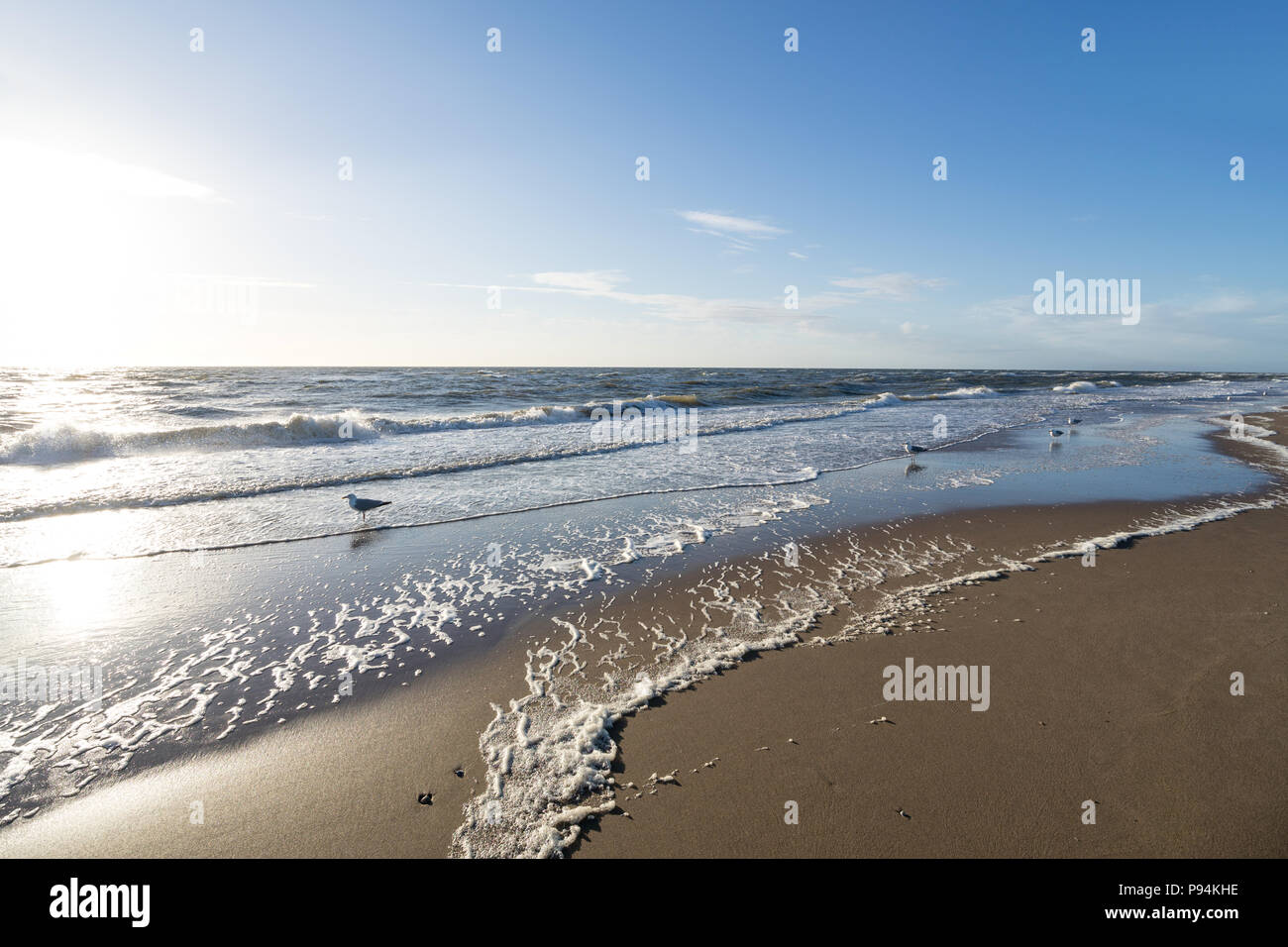 Dutch costa del Mare del Nord vicino a Katwijk aan Zee Foto Stock