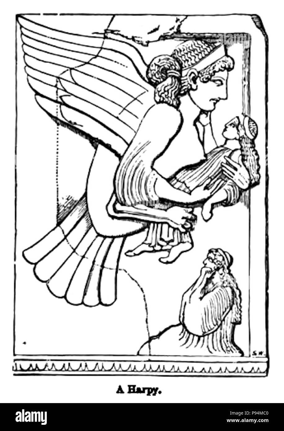 Un Arpia. - Incisioni su legno. Foto Stock