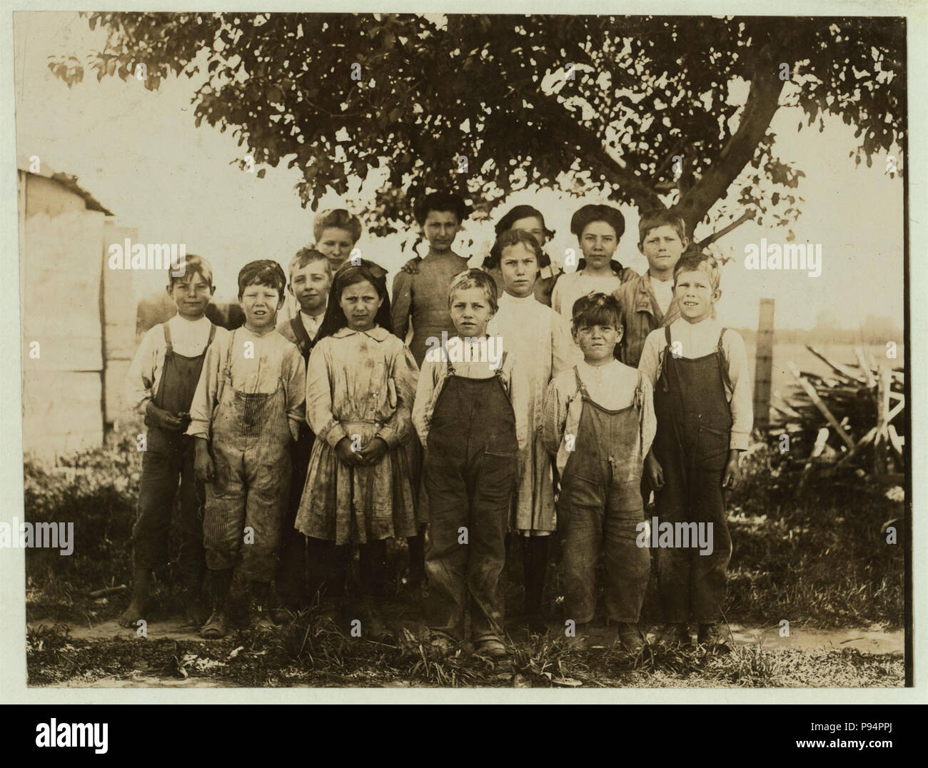 Un gruppo di berry raccoglitori a Newton's Farm, Bridgeville, Del. 2 bambini di 7 anni di età. 2 bambini di 8 anni di età. 2 bambini di 9 anni di età. 2 bambini sono 11 anni di età. 3 Foto Stock