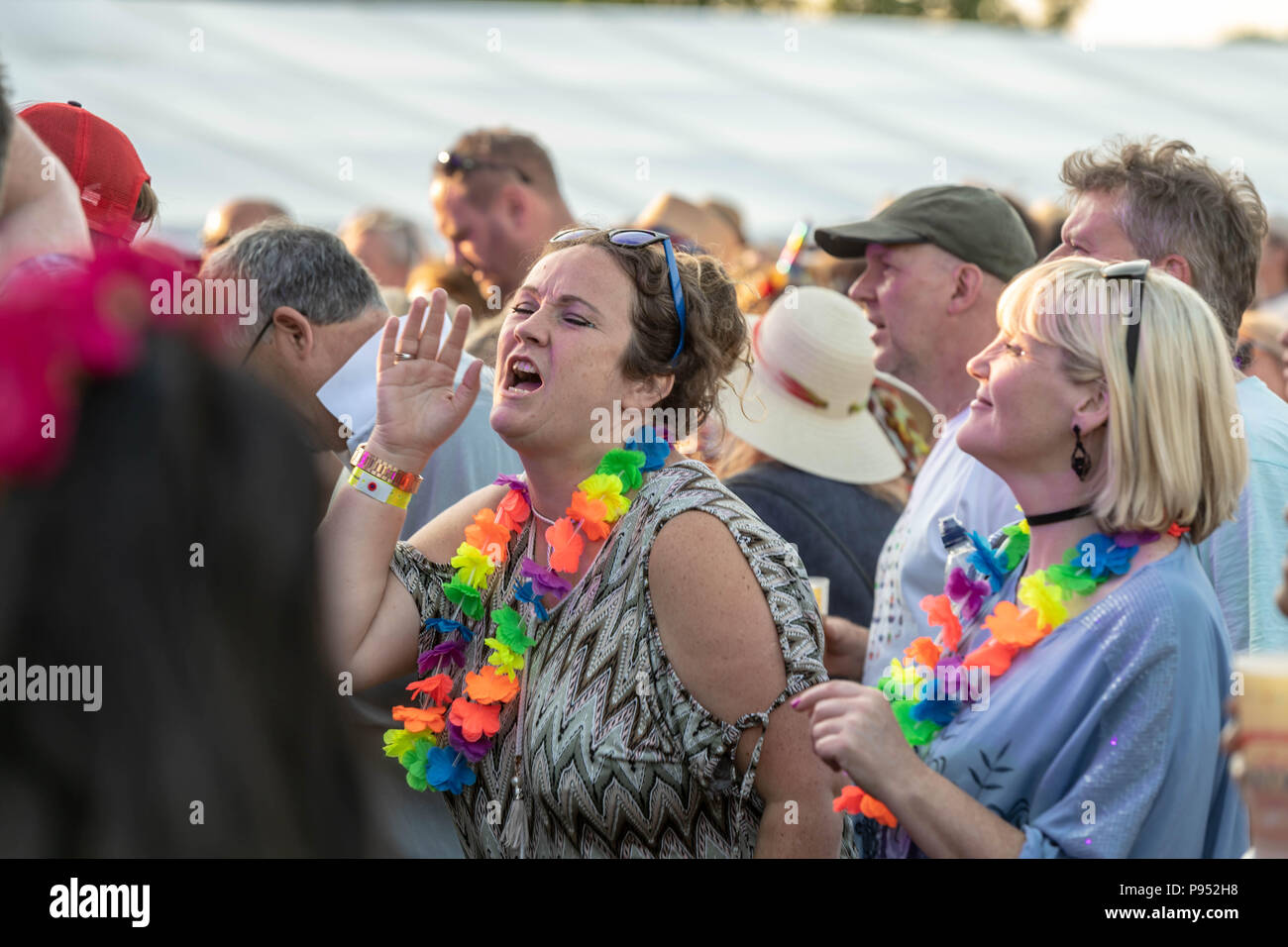 Brentwood Essex, 14 luglio 2018 Brentwood Music Festival 2018 a Brentwood Centre Roland dono di belle giovani cannibali Credit Ian Davidson/Alamy Live News Foto Stock