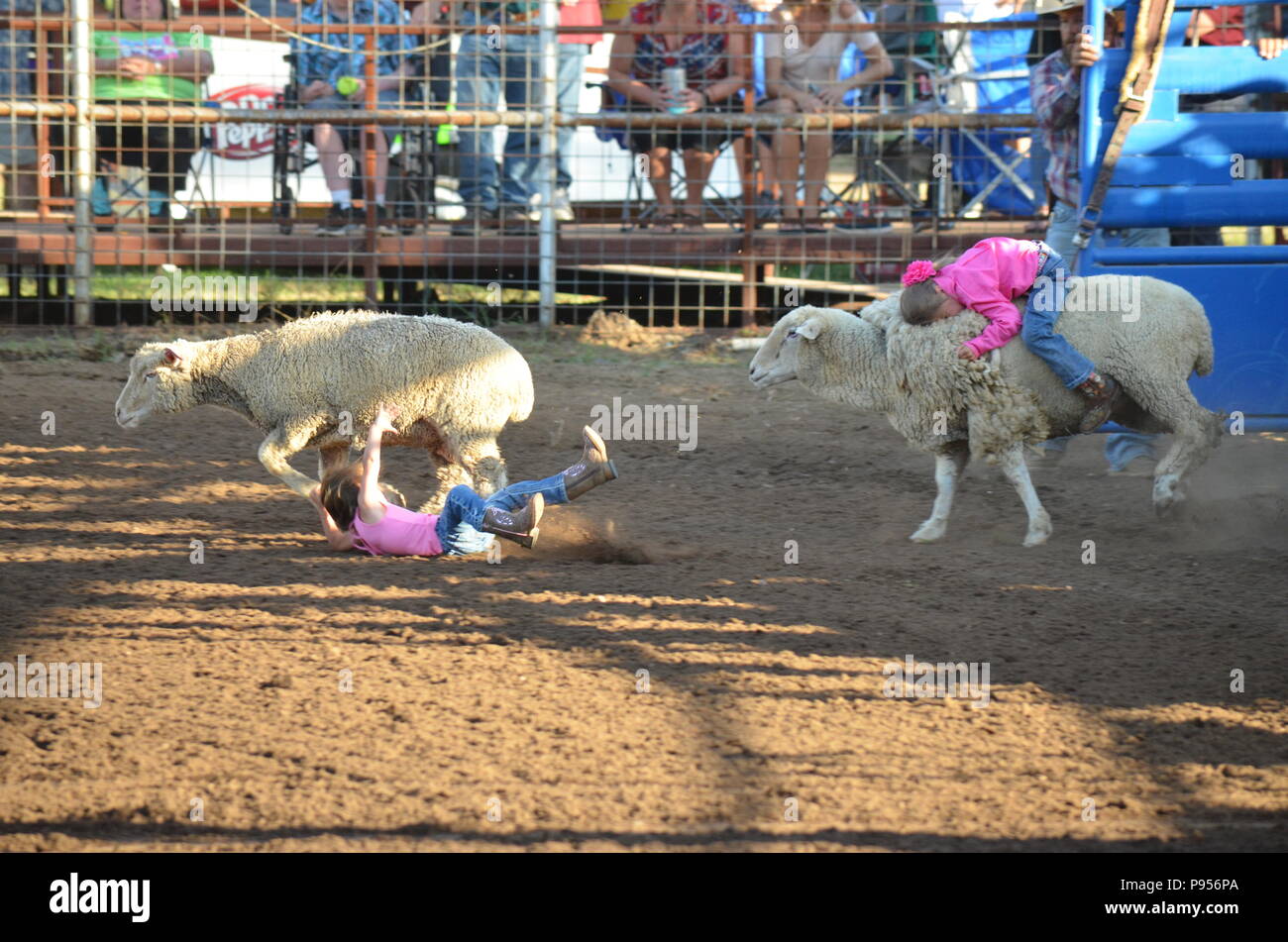 Mason, Texas. Il 14 luglio 2018. Le ragazze in competizione in montone rompendosi, dove i bambini ride pecore in un rodeo arena. L'ultimo a cadere vince un premio. Stasera il vincitore di ogni turno ha vinto una nuova bicicletta. Credito: Glenn Ruthven/Alamy Live News Foto Stock