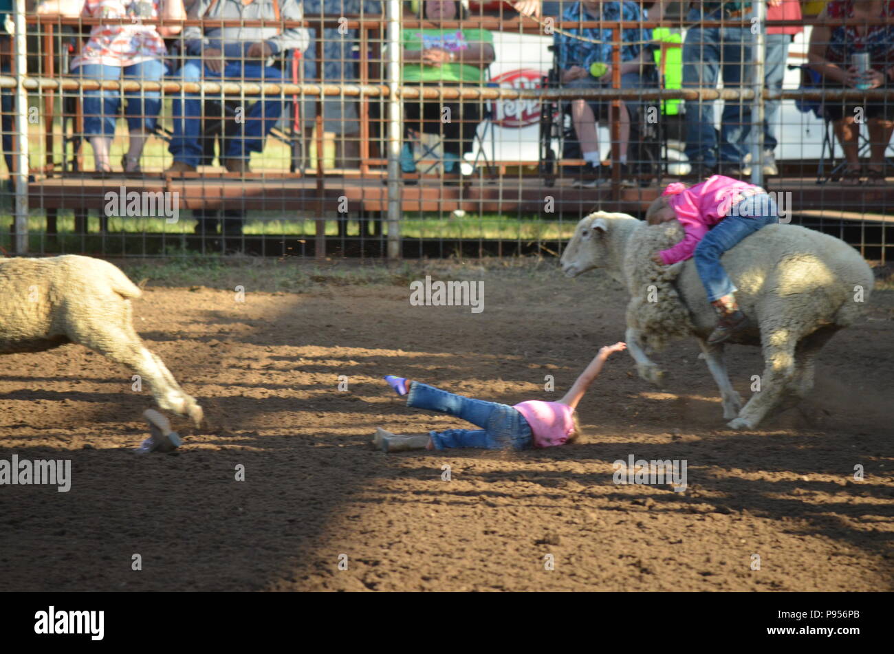 Mason, Texas. Il 14 luglio 2018. Le ragazze in competizione in montone rompendosi, dove i bambini ride pecore in un rodeo arena. L'ultimo a cadere vince un premio. Stasera il vincitore di ogni turno ha vinto una nuova bicicletta. Credito: Glenn Ruthven/Alamy Live News Foto Stock