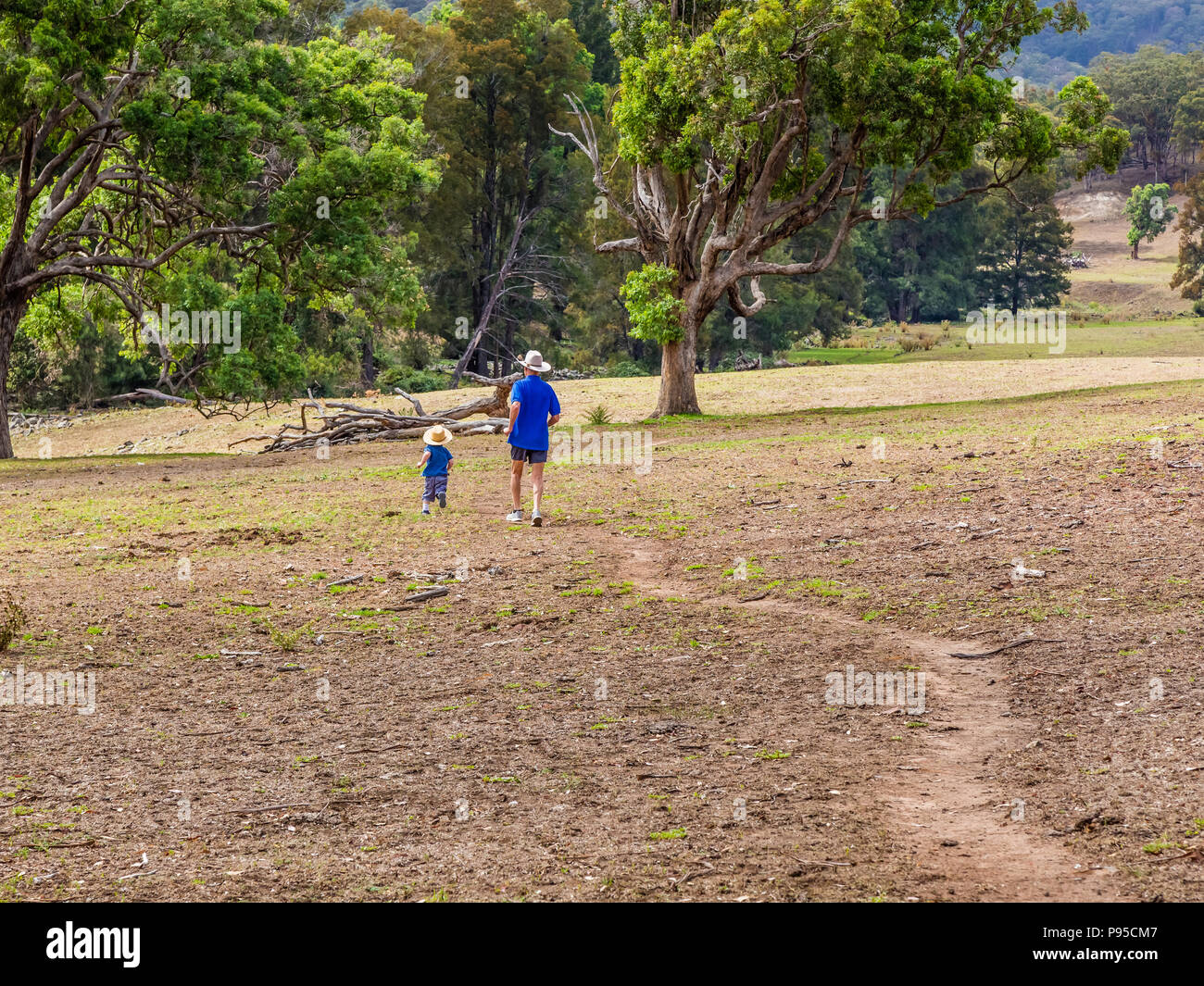 Piccolo Ragazzo che attraversano la campagna con il suo nonno in alto la Hunter Valley, NSW, Australia. Foto Stock