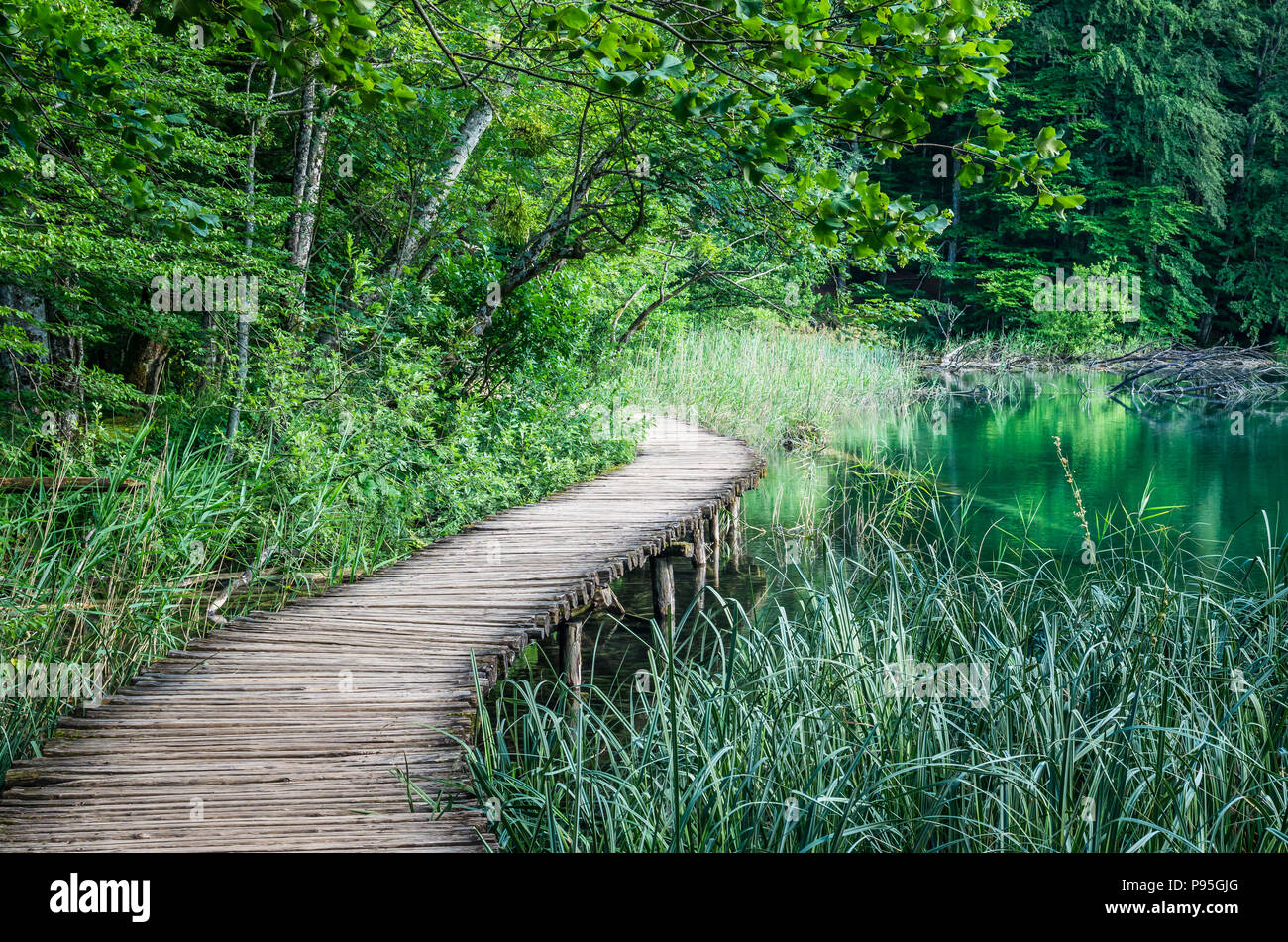 Il parco nazionale di Plitvice, Croazia. Asse di legno sentiero attraverso la foresta verde e sopra l'acqua Foto Stock