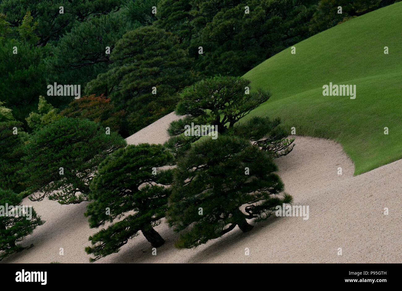 Progettato dal celebre giardiniere Kinsaku Nakane, Adachi Museum's garden è concepito come un dipinto o una vita scorrere per essere visualizzati attraverso solo windows. Foto Stock