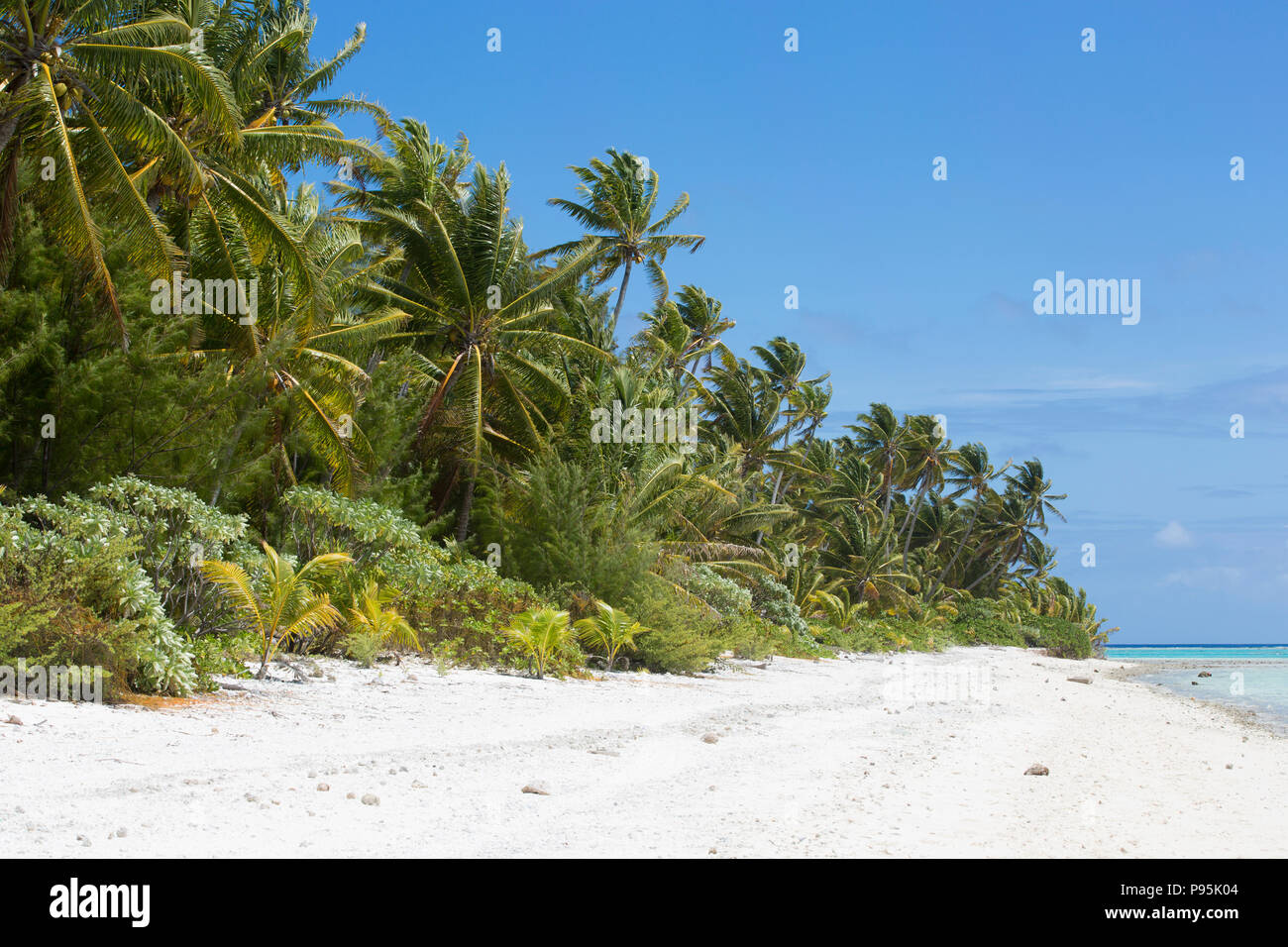 Sulla spiaggia di Palmerston Isola, Isole Cook Foto Stock