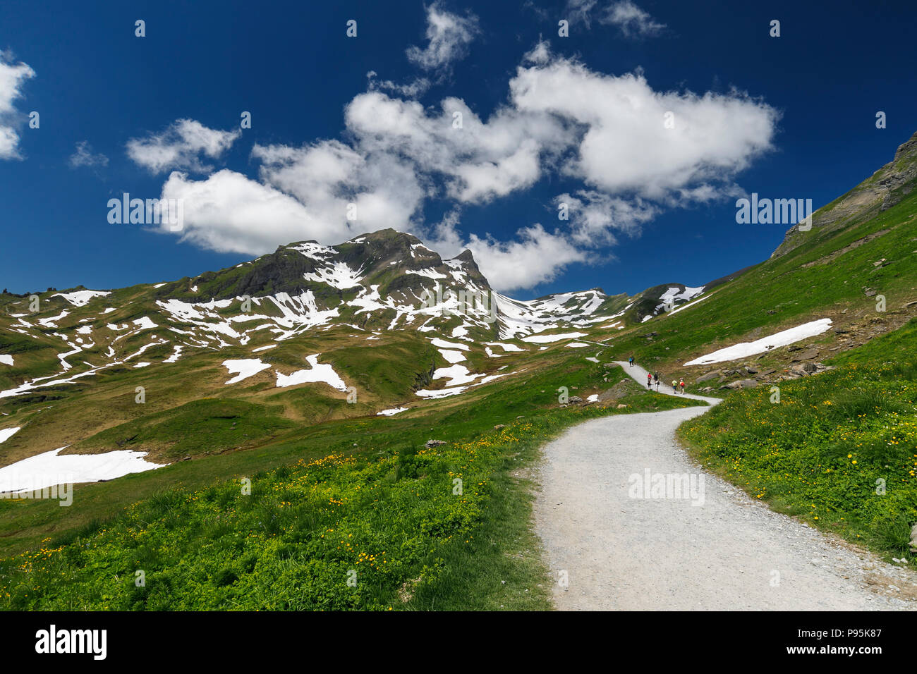 Sentiero di montagna percorso nel paesaggio innevato a Bachalp, Grindelwald-First nella regione di Jungfrau dell Oberland Bernese, Alpi, Svizzera Foto Stock