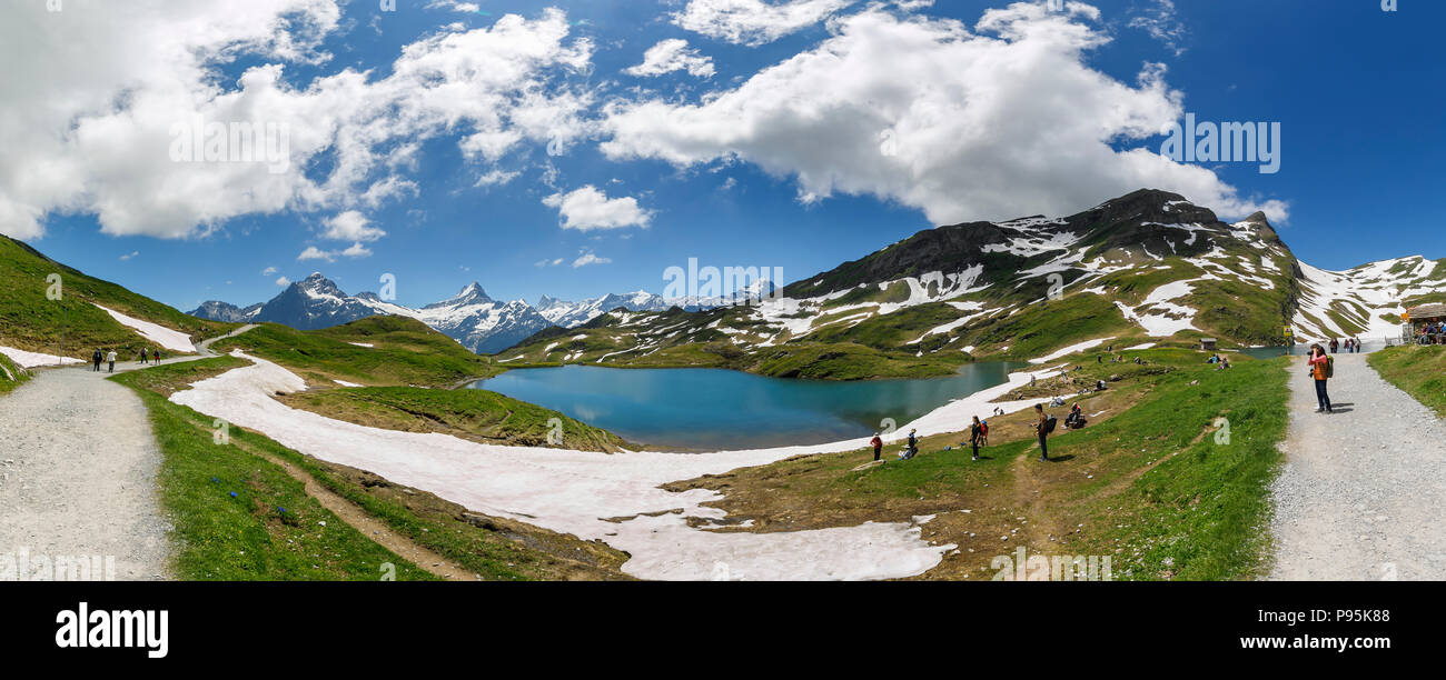 Lago Bachalpsee nelle montagne innevate a Grindelwald-First nella regione di Jungfrau dell Oberland Bernese, Alpi, Svizzera Foto Stock